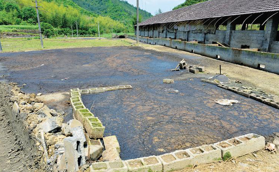 雞糞脫水機(jī)